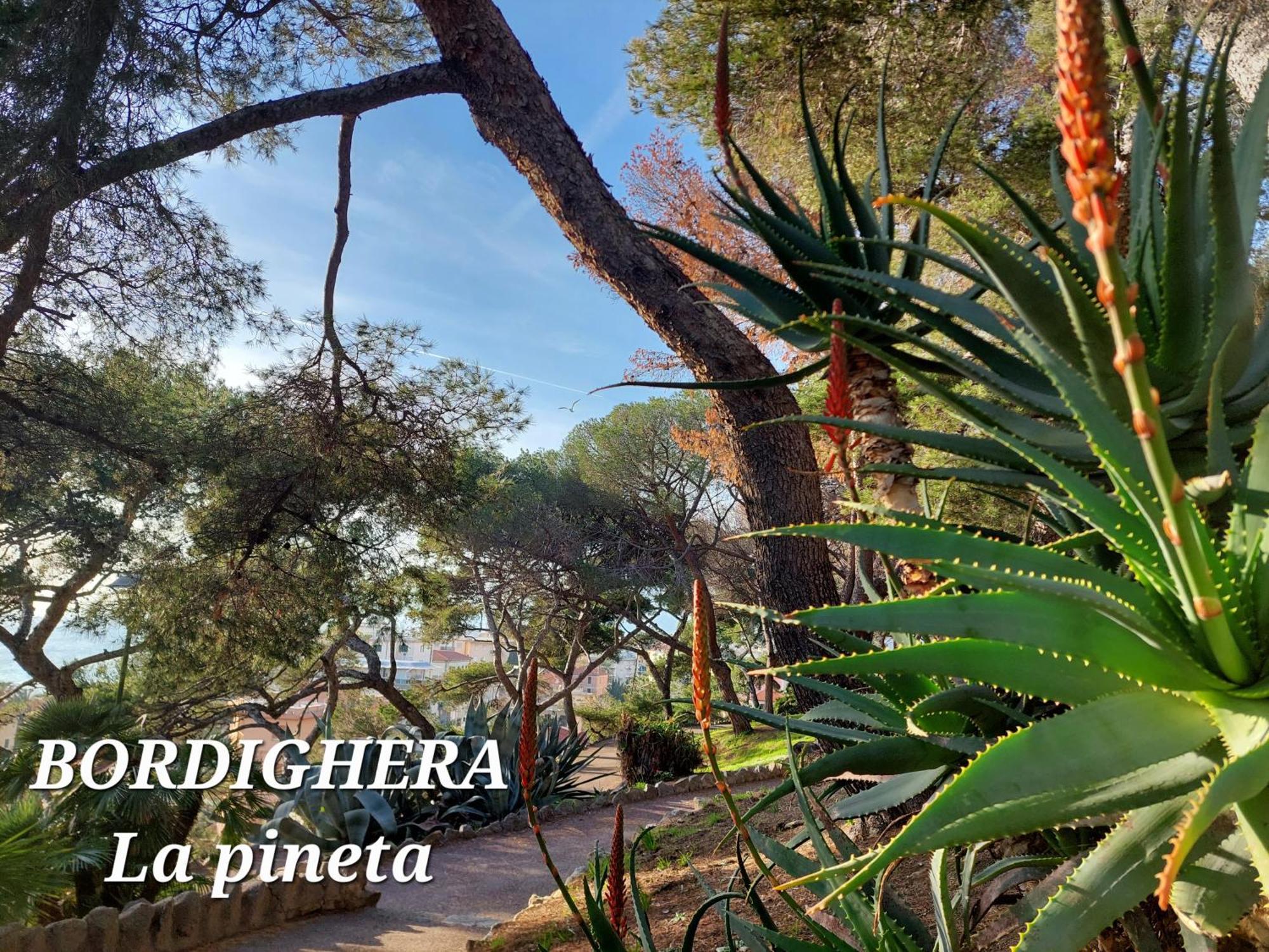 Emozioni Casa Vista Mare Bordighera Kültér fotó